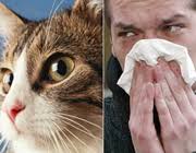 حیوانات اهلی ، حیوانات خانگی ، آسم ، آسم کودکان ، آلرژی ، عوامل آلرژن و حساسیت زا 