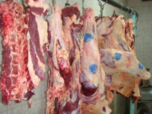 بهداشت گوشت ، بهداشت و بازرسی گوشت ، گوشت سالم ، گوشت بهداشتی ، میکروب در گوشت