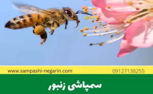 سمپاشی زنبور