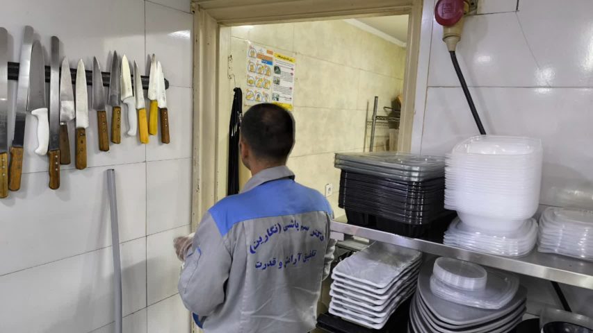 سمپاشی موش
