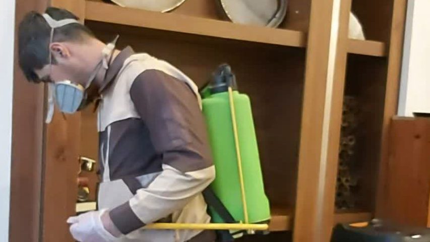 شرکت سمپاشی نگارین تندیس